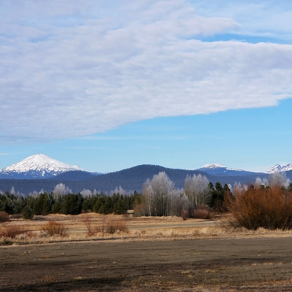 Meet your Posher, Misty